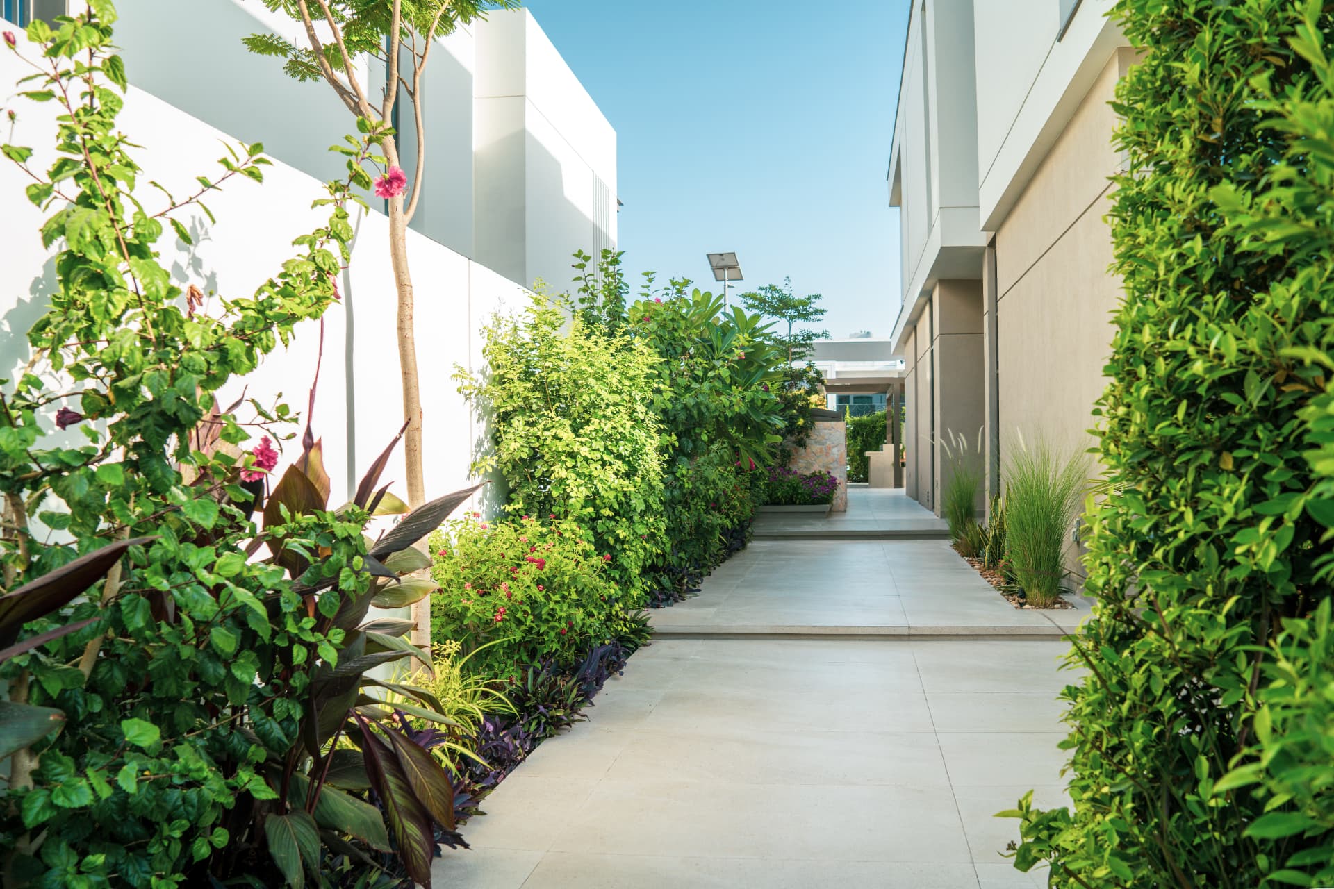 Landscaping in Dubai